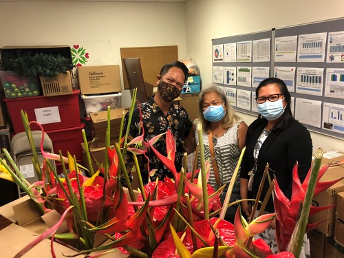 Islands Hospice Care
