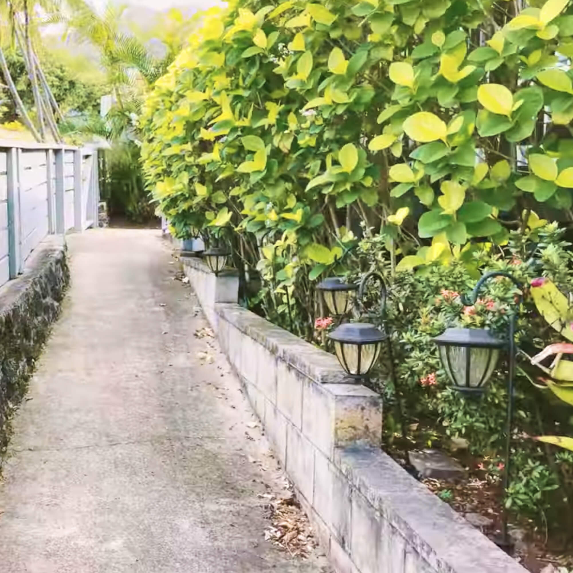 Islands Hospice Care